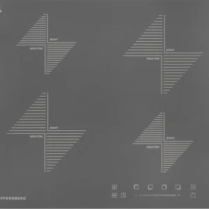 ზეადაპირი ინდუქციური