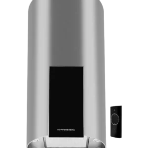 ვერცხლისფერი გამწოვი