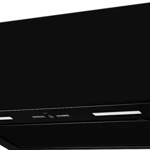 გამწოვი